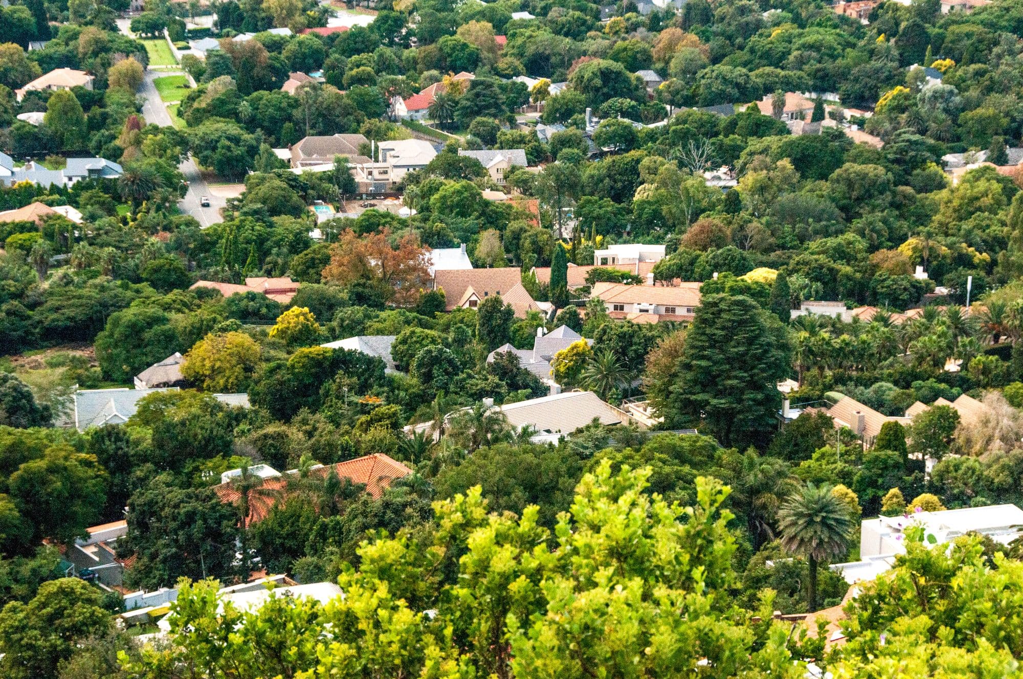 Rooftops and trees of a Gauteng suburb from above